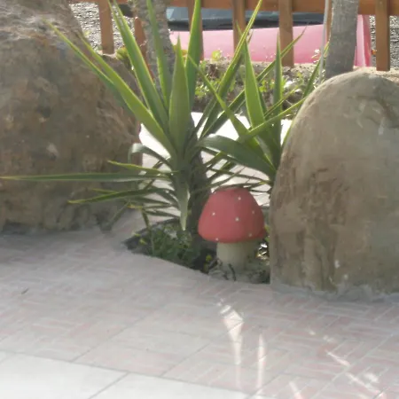 Splendore Hotell Cerda