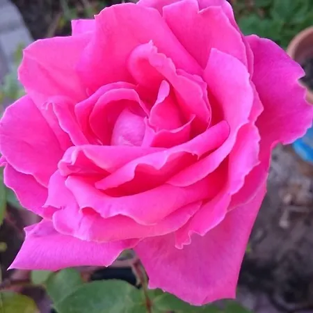 Splendore Hotel Cerda