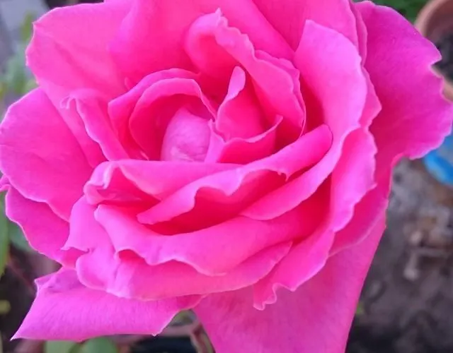 Splendore Otel Cerda